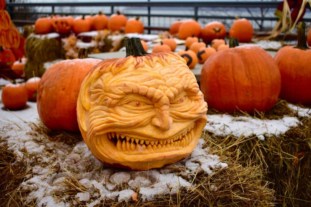 pumpkin carving competition